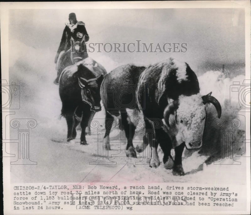 Load image into Gallery viewer, 1949 Press Photo Bob Howard Ranch hand
