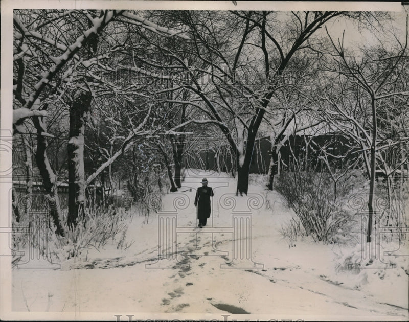 Load image into Gallery viewer, 1936 Press Photo Snow in April at the Lincoln Park, Chicago - ned38222
