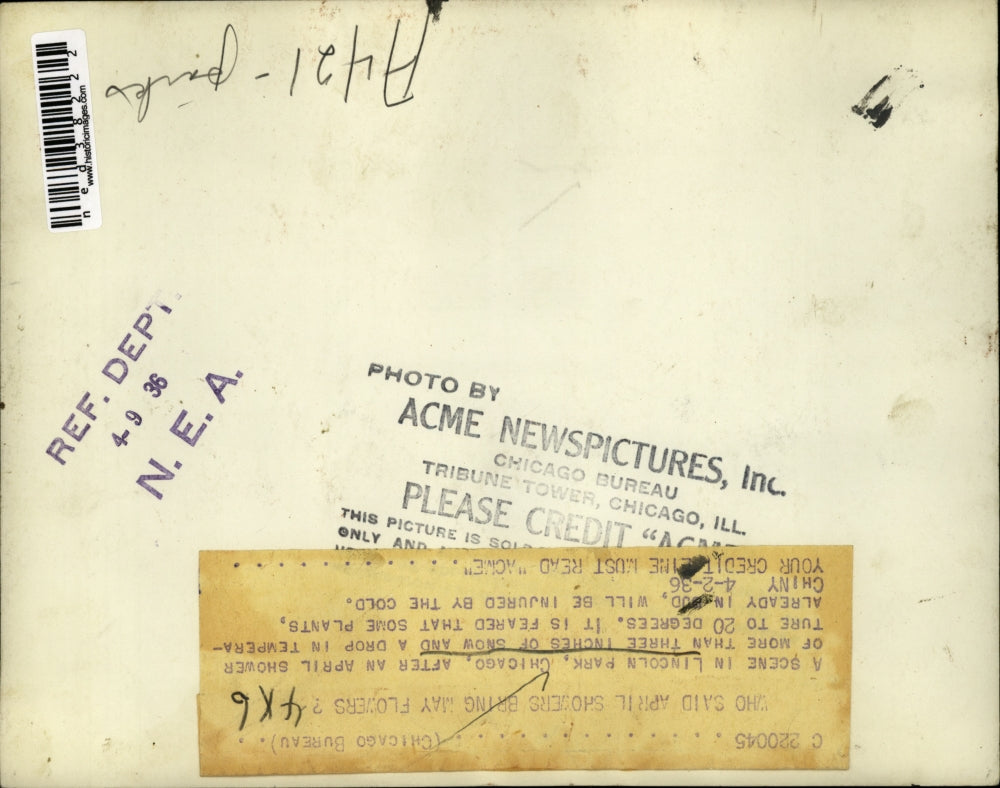 1936 Press Photo Snow in April at the Lincoln Park, Chicago - ned38222