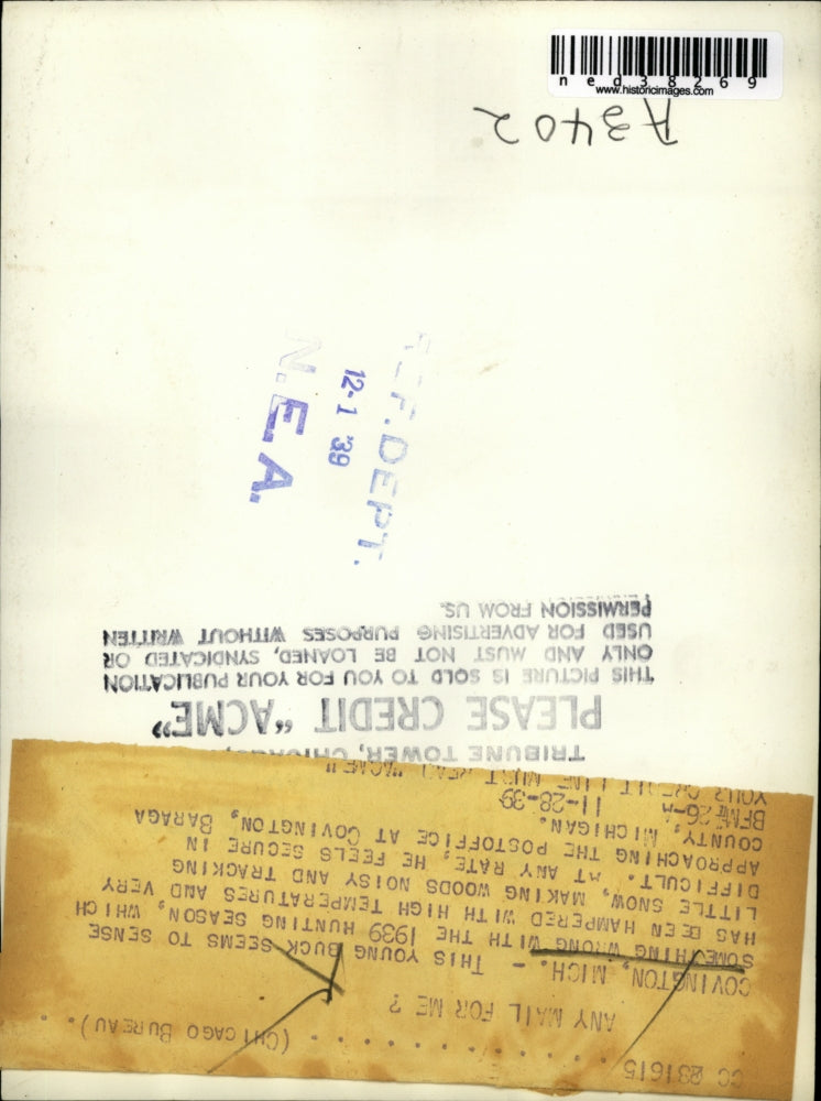 1939 Press Photo Covington MI-A young buck saunters up to the post office