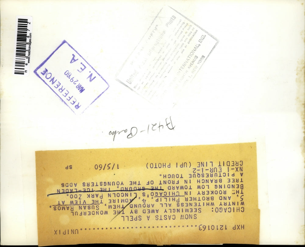 1960 Press Photo "Amazed" Susan Ramos, 5 and his brother Philip, 4