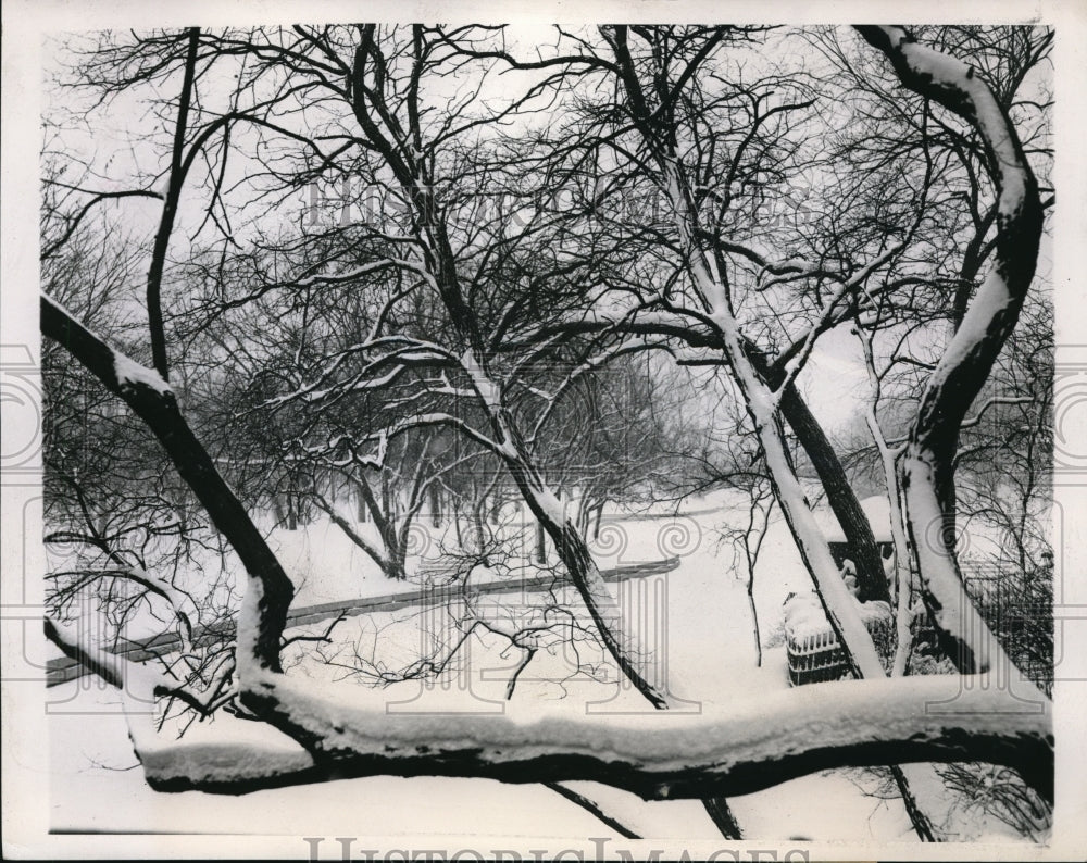 1947 Press Photo Scene in Chicago's Lincoln Park in winter. - ned38483
