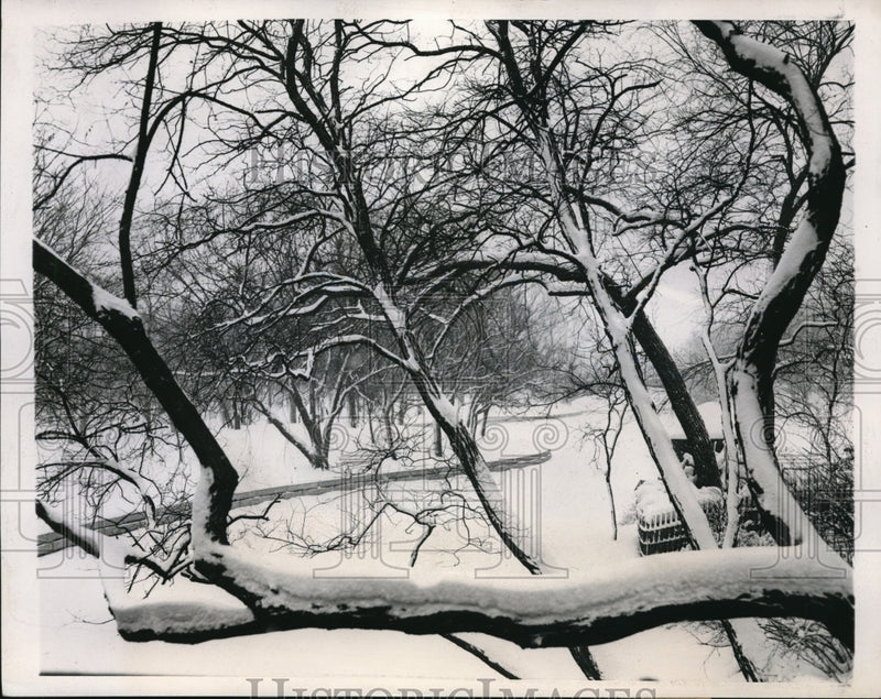 Load image into Gallery viewer, 1947 Press Photo Scene in Chicago's Lincoln Park in winter. - ned38483
