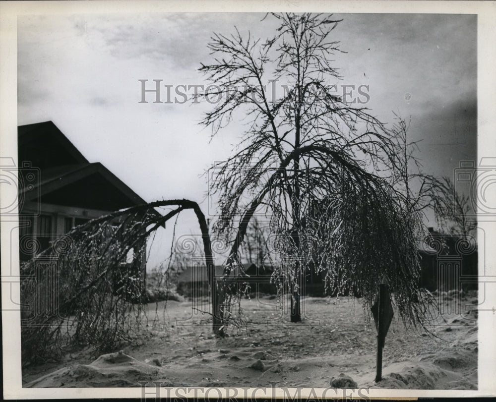 1946 Press Photo Winter Scene in Duluth, Minn.