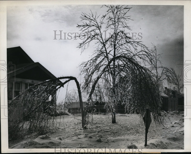 Load image into Gallery viewer, 1946 Press Photo Winter Scene in Duluth, Minn.
