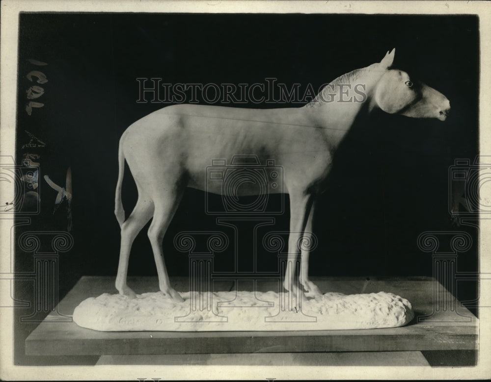 1920 Press Photo Prehistoric animals In the Pliocene period Eohippis becomes