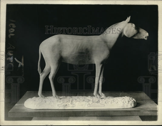 1920 Press Photo Prehistoric animals In the Pliocene period Eohippis becomes