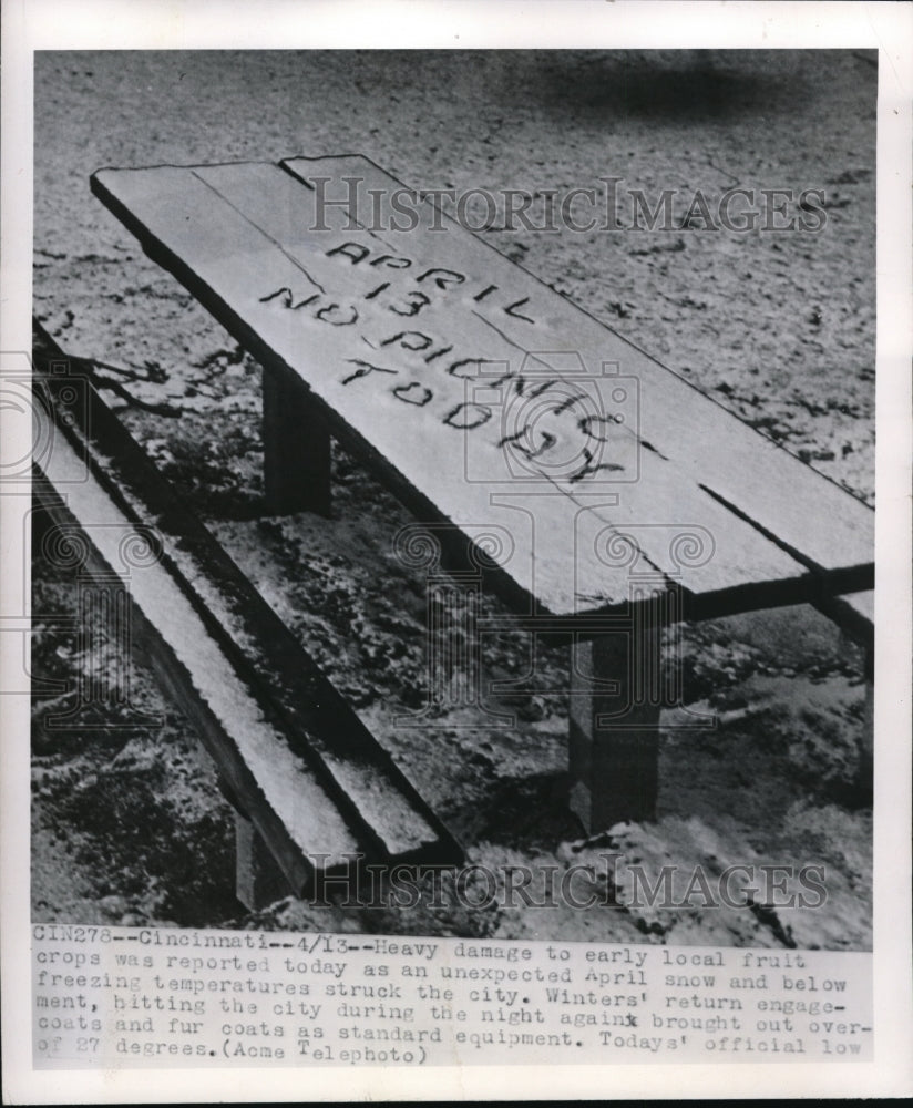 1950 Press Photo Unexpected snow falling in April destroying crops.
