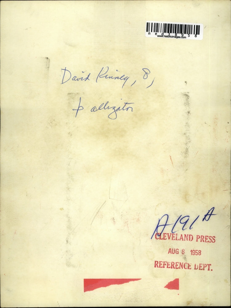 1958 Press Photo David Rinnly, with Alligator