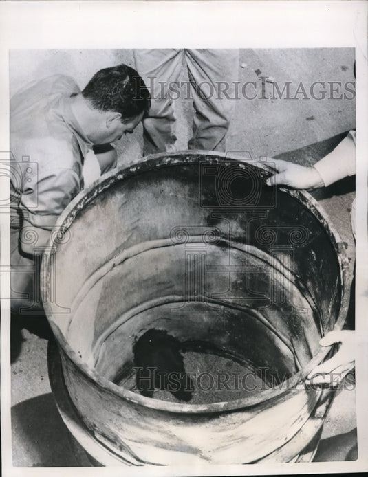 1956 Press Photo Bottom of the barrel, Animal Protective Association
