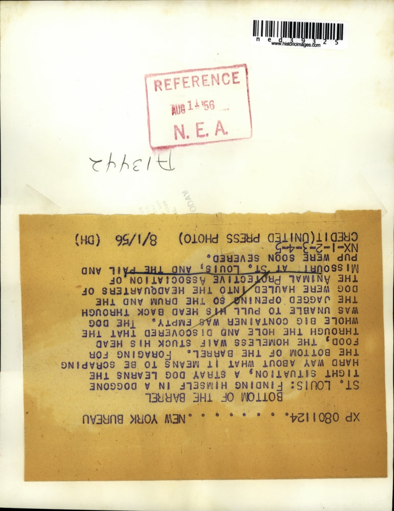 1956 Press Photo Bottom of the barrel, Animal Protective Association