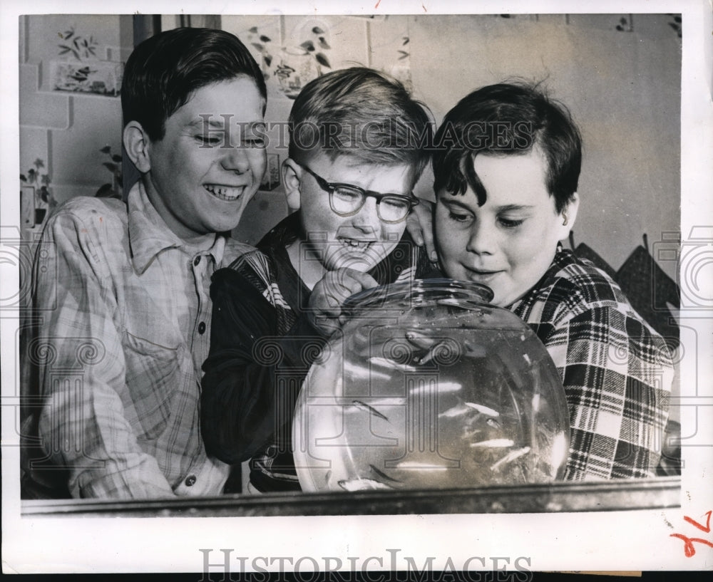 1954 Press Photo Something fishy finders are Patrick Winnie, 15; George Cronk, 8