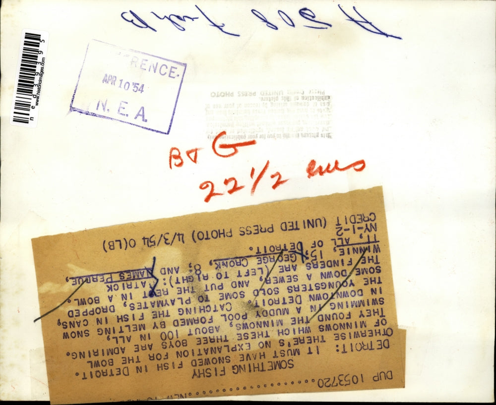 1954 Press Photo Something fishy finders are Patrick Winnie, 15; George Cronk, 8