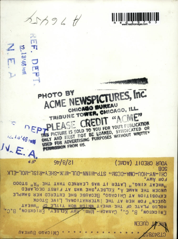 1946 Press Photo Mrs Amy Kelsey, Wheat Queen, at Int'l Livestock Expo in Chicago