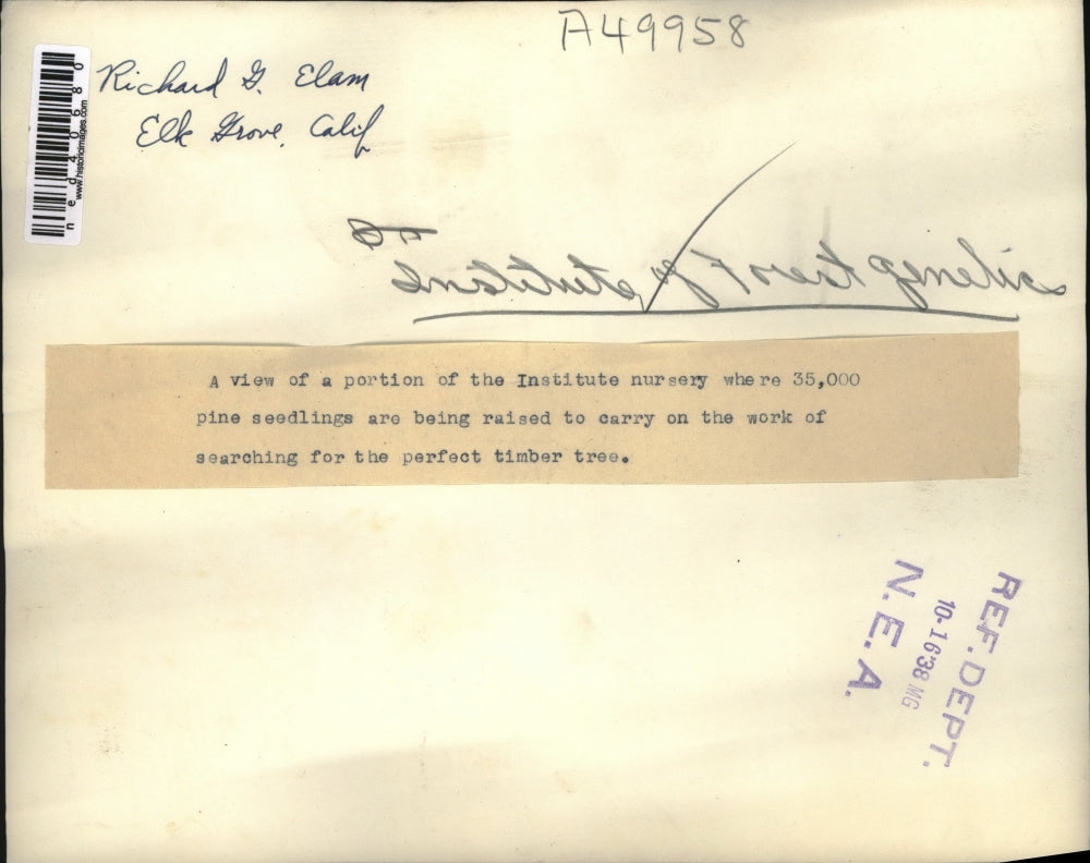 1938 Press Photo A view of the Institute of Forest Genetic with Richard G. Elam