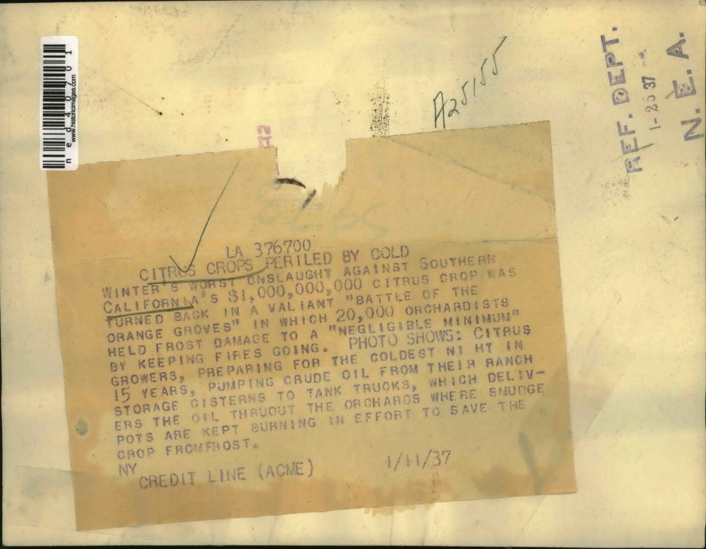 1937 Press Photo Citrus growers, preparing for the coldest night in 15 years