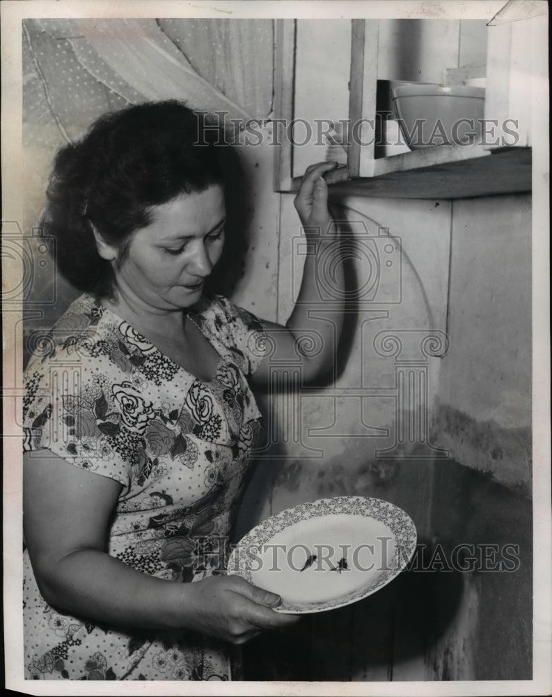 Load image into Gallery viewer, 1951 Press Photo Mrs. Mary Laskowski reches for dish and finds crickets

