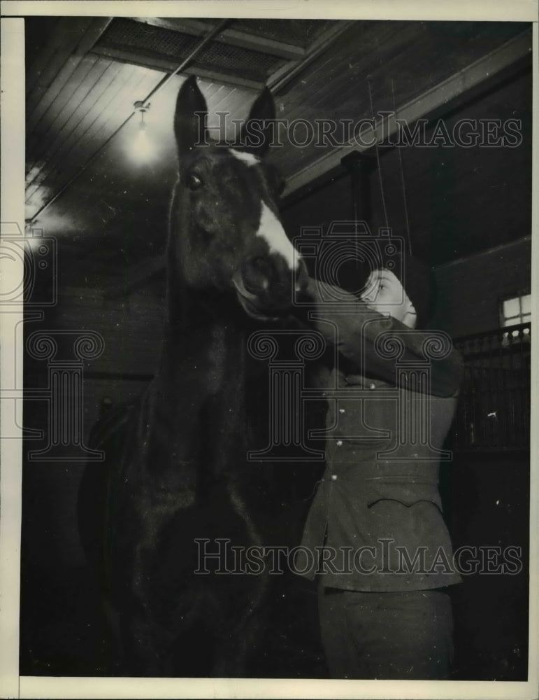 1937 Press Photo ERM Policy Grooming and the care of horses