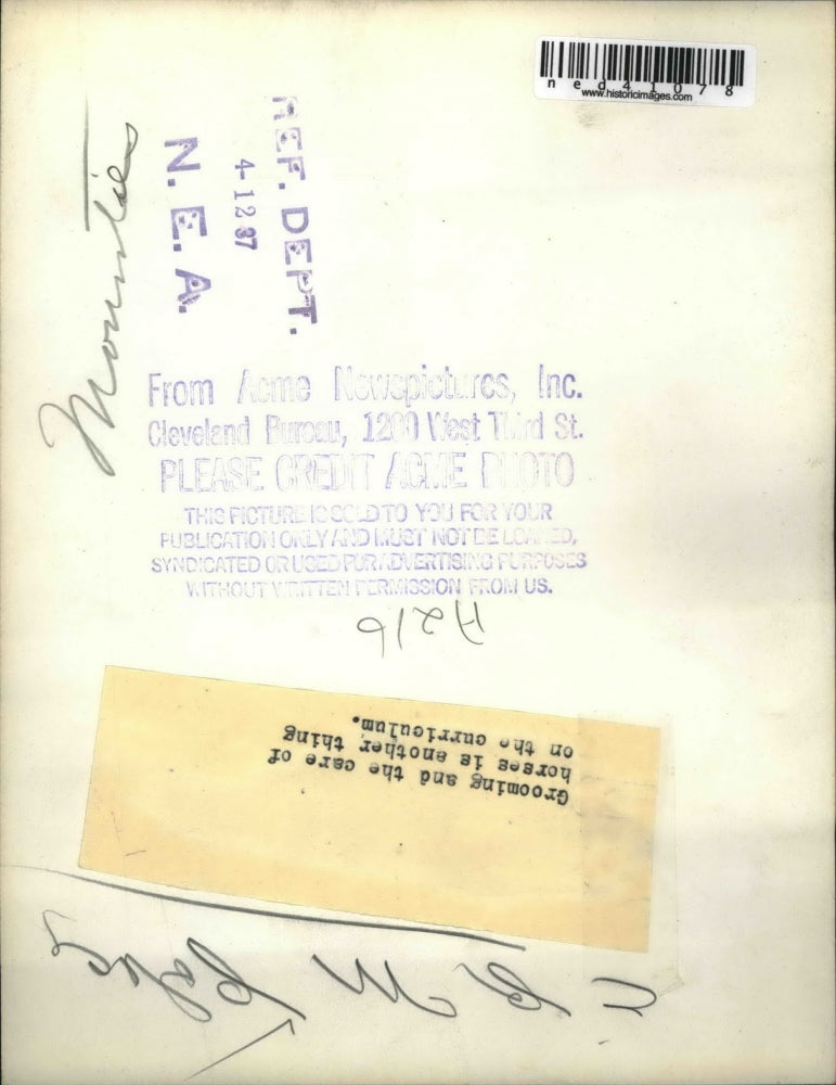 1937 Press Photo ERM Policy Grooming and the care of horses