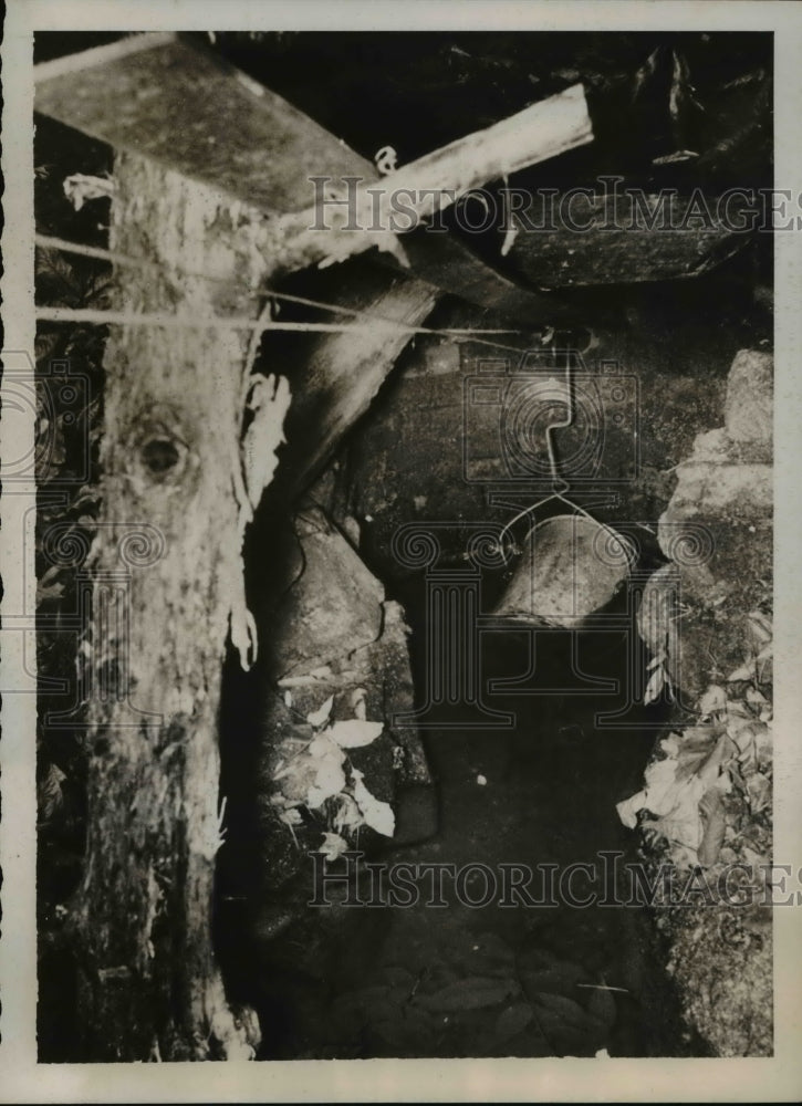 1939 Press Photo Horseshoe Neck North Carolina Water Supply By Cable Spring