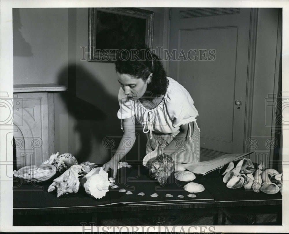 1946 Press Photo Averell Shells South Africa Brazil Canada United States