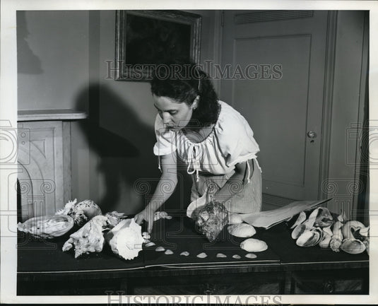 1946 Press Photo Averell Shells South Africa Brazil Canada United States