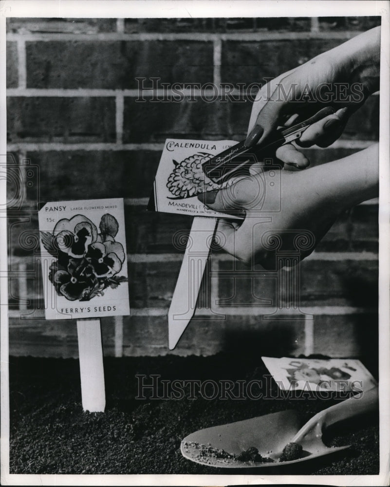 1956 Press Photo Household Staple helps to identify Vegetables and flowers