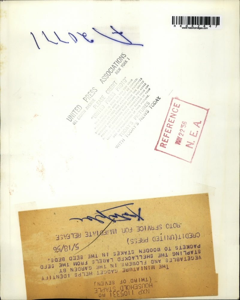 1956 Press Photo Household Staple helps to identify Vegetables and flowers