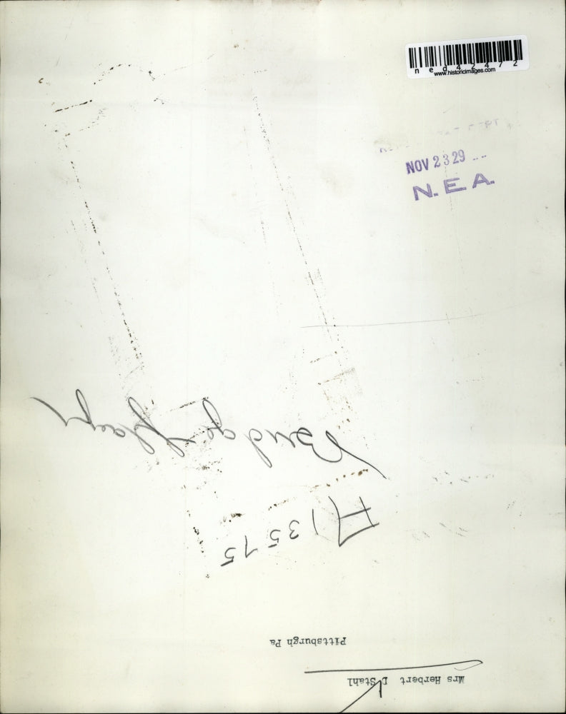 1929 Press Photo Mrs. Herbert D. Stahl