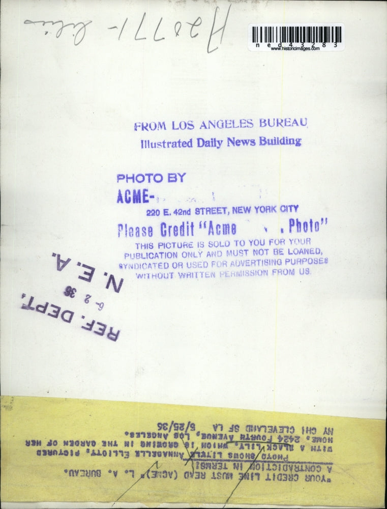 1936 Press Photo Annabelle Elliott with Black Lily at their garden in L.A.