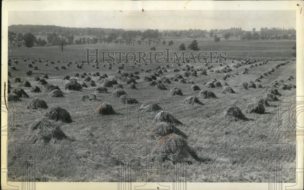1937 Press Photo Harvest in MIchigan
