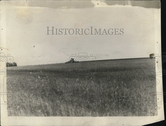 1927 Press Photo A strange monster plowing through a sea of golden grain the