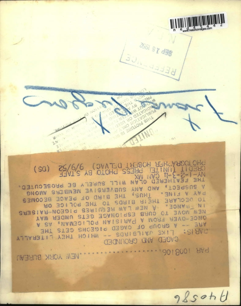 1952 Press Photo Group of caged pigeons checked by Parisian Policeman