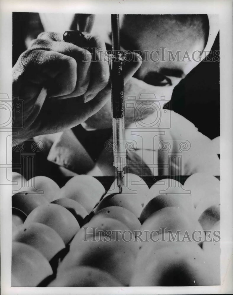 1957 Press Photo Lederle Laboratory, Pearl River New York.