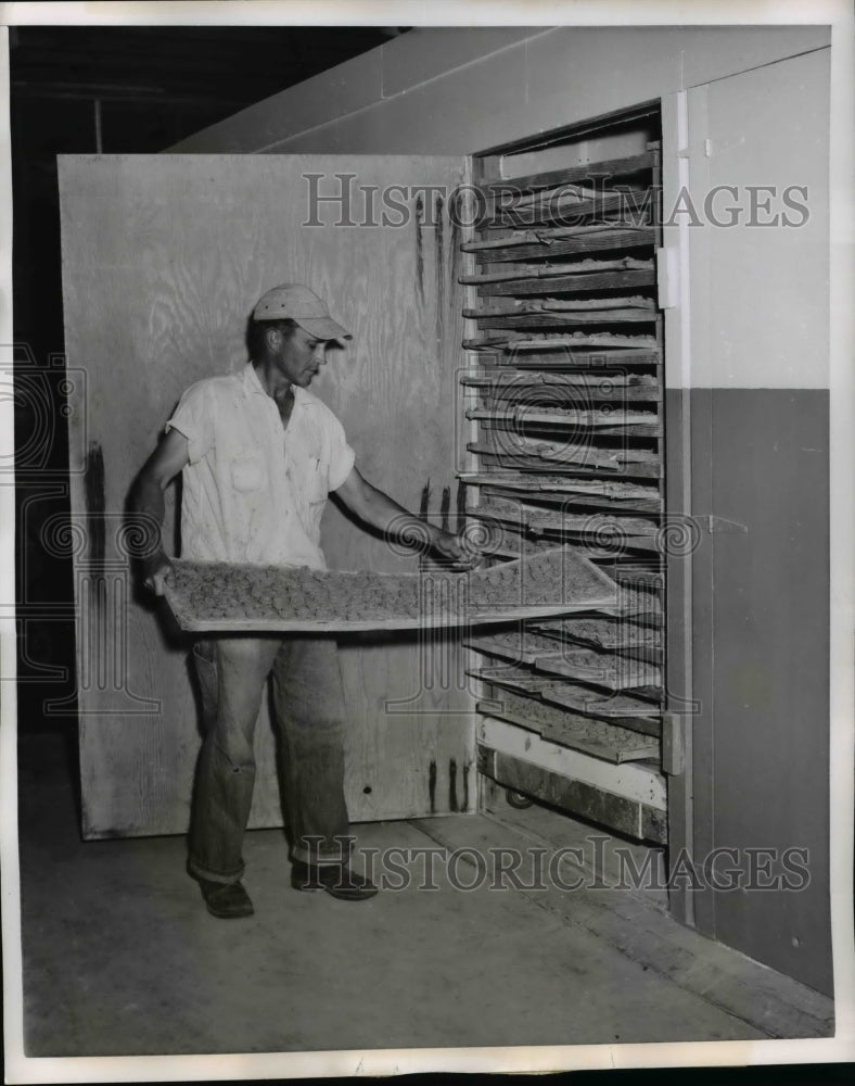 1955 Press Photo Don Raymond Monkey Kepers Okatie Farms Food For Creatures