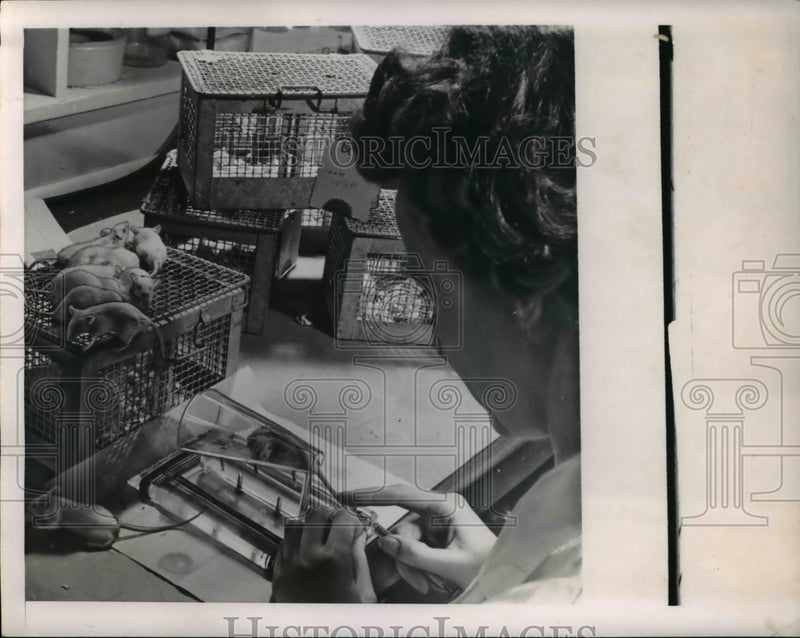 Load image into Gallery viewer, 1949 Press Photo Lederle Lab in Pearl River New York Researcher at work
