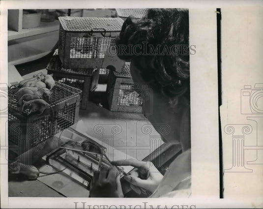 1949 Press Photo Lederle Lab in Pearl River New York Researcher at work