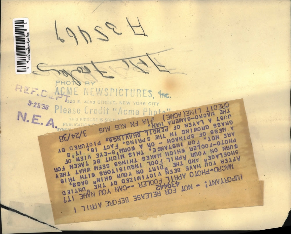 1938 Press Photo Macro photo April fooler can you name it Its a layer of