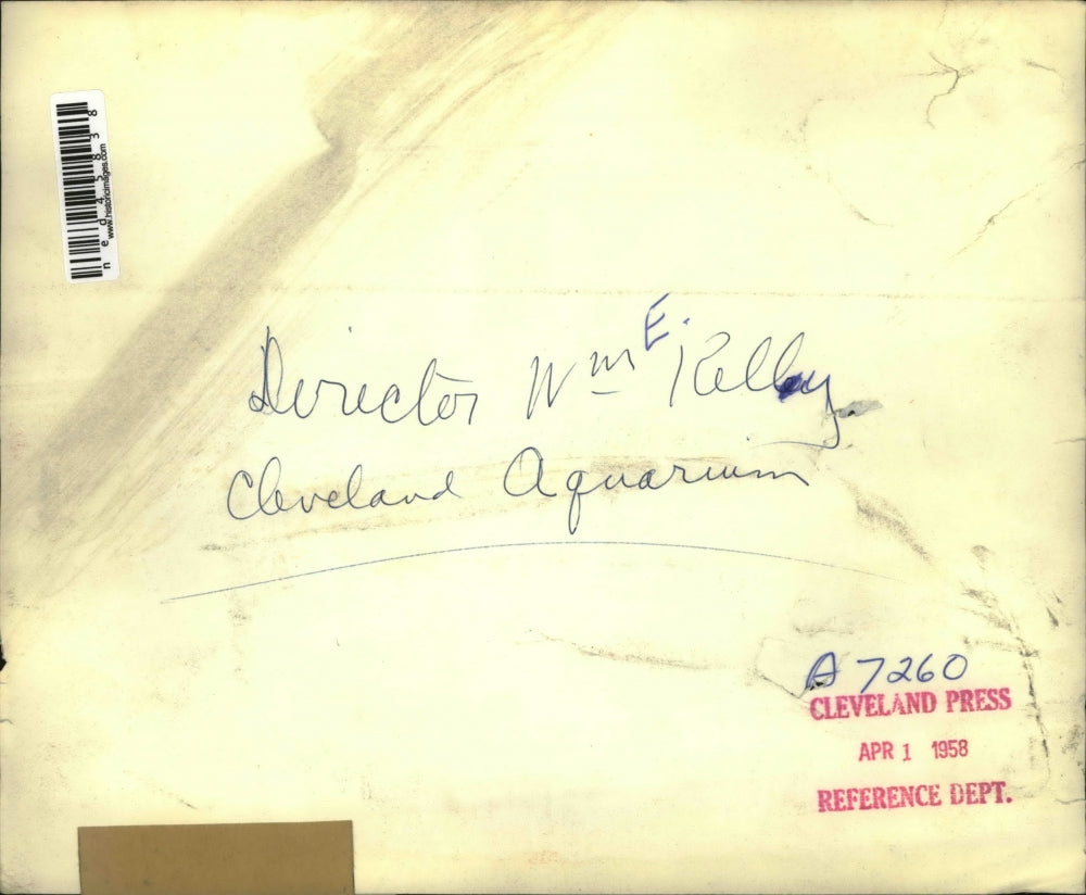 1958 Press Photo Director W. E. Relly of Cleveland Aquarium