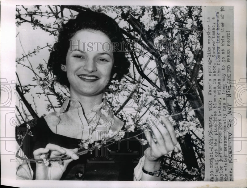 Load image into Gallery viewer, 1956 Press Photo Sandra Isaac as she wishes the flowers luck
