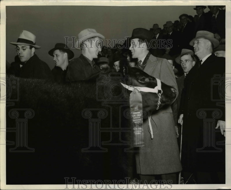 Load image into Gallery viewer, 1941 Press Photo Grand Champion Steer Royal Alumnus Gilman Stewart Leonard

