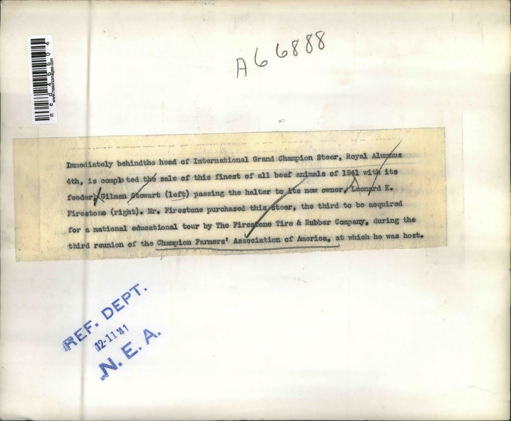 1941 Press Photo Grand Champion Steer Royal Alumnus Gilman Stewart Leonard
