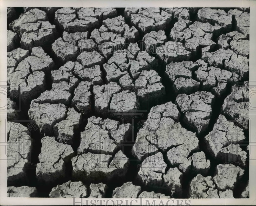 1953 Press Photo Sugar Lake Bottom Filled With Cracks in Mud Sugar Lake, MO