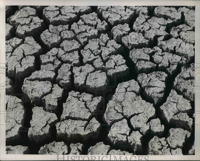 Load image into Gallery viewer, 1953 Press Photo Sugar Lake Bottom Filled With Cracks in Mud Sugar Lake, MO

