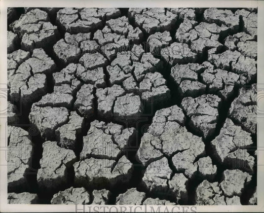 1953 Press Photo Sugar Lake Bottom Filled With Cracks in Mud Sugar Lake, MO