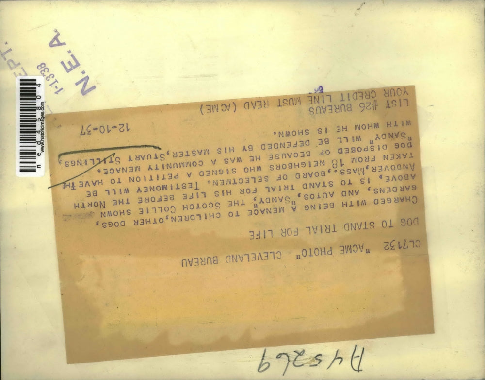 1937 Press Photo Stuart Stillings & his dog Sandy Andover Mass menace town