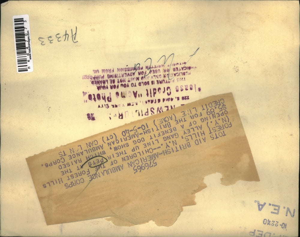 1940 Press Photo Alley gang line up their pets at benefit dog show