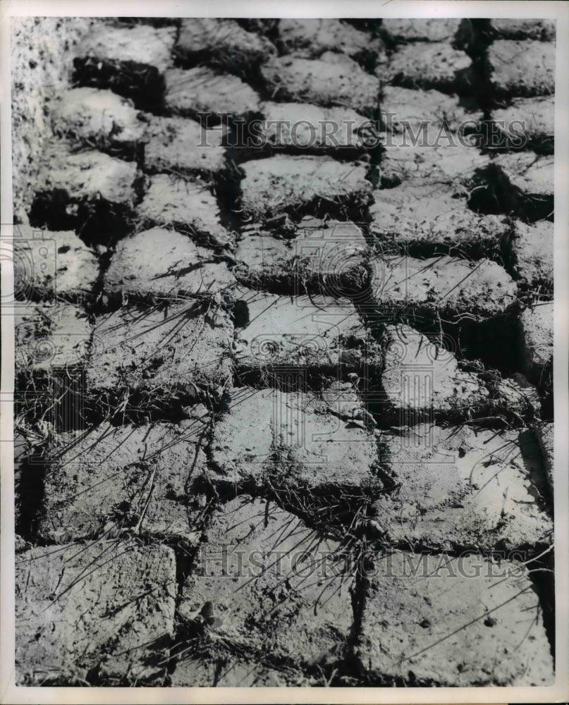 1954 Press Photo Teprone for the bricks of mud houses