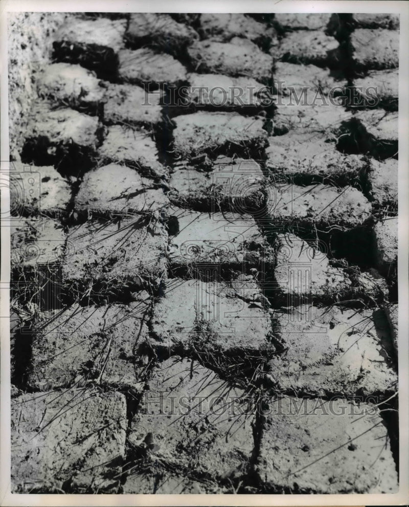 Load image into Gallery viewer, 1954 Press Photo Teprone for the bricks of mud houses
