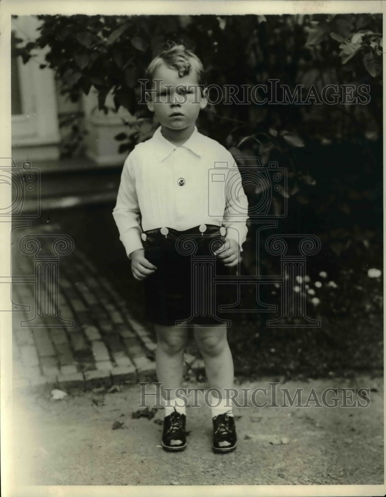 Load image into Gallery viewer, 1929 Press Photo Master Daniel Payson distinguished youngster at the fair &amp; tea
